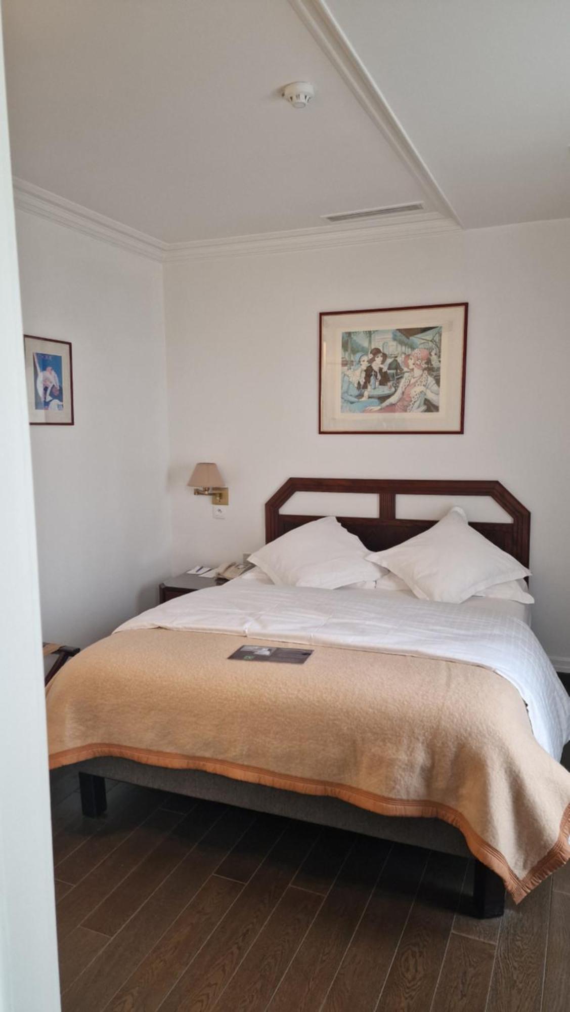 Hotel Du Parc - Mulhouse Centre Eksteriør billede