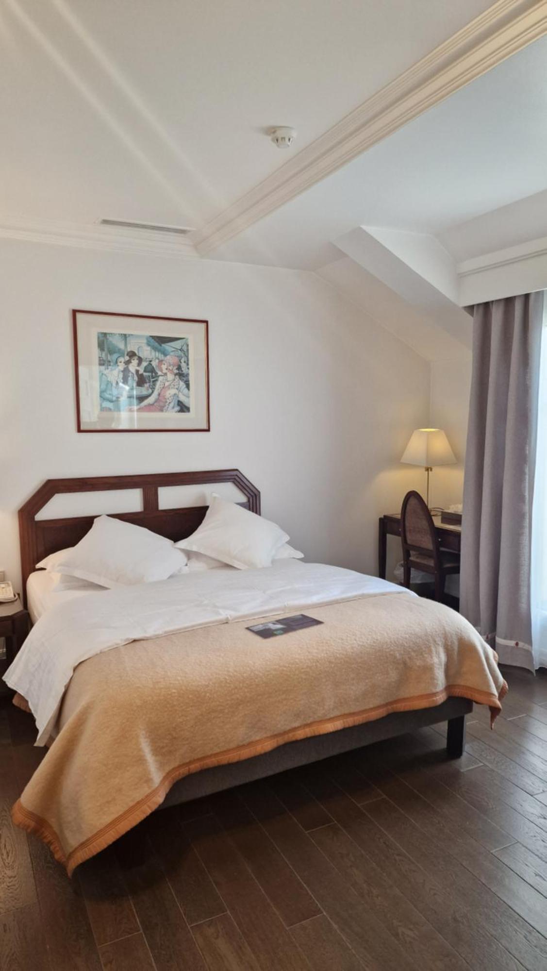 Hotel Du Parc - Mulhouse Centre Eksteriør billede